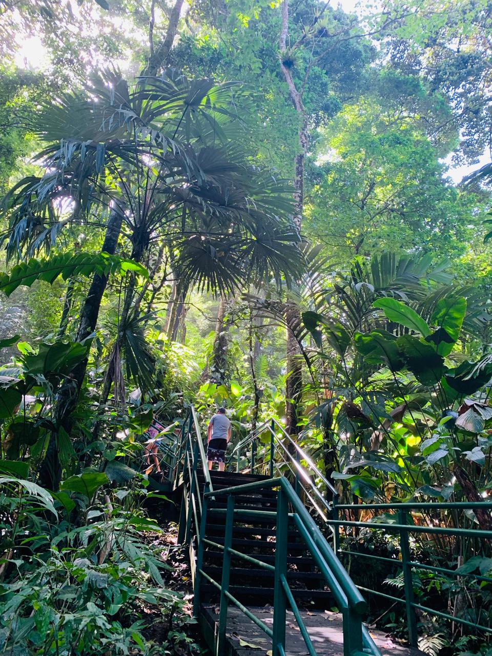 Tortuguero WhatsApp Image 2025-12-06 at 11.40.40 AM